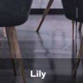 lily